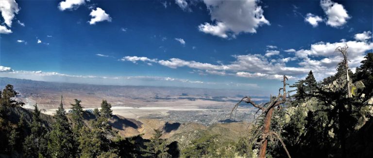 Read more about the article A Sneak Peak At The Palm Springs Aerial Tram – Summer 2019