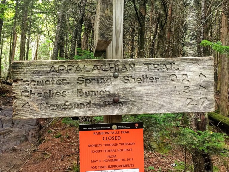 Read more about the article 2017 Appalachian Trail Trail – New Found Gap to Charlie’s Bunion