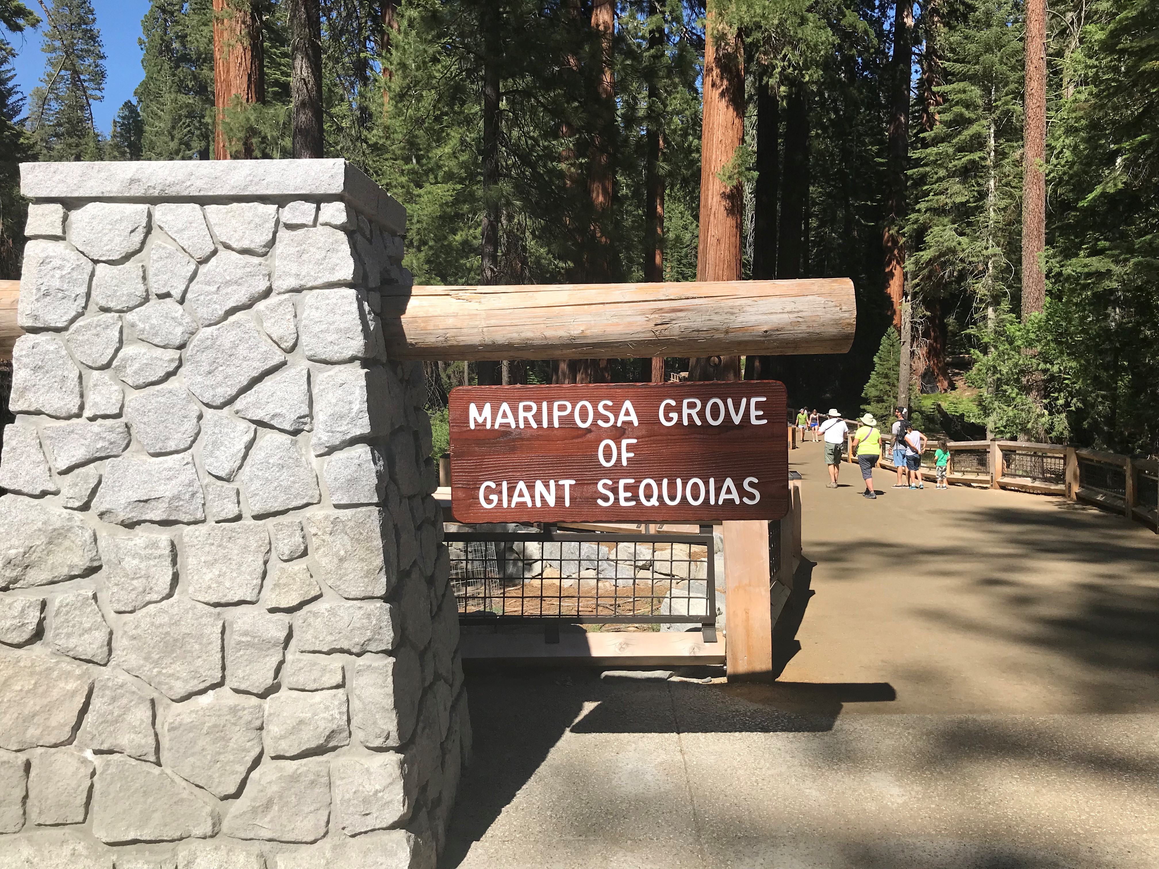 You are currently viewing Yosemite National Park – Mariposa Grove